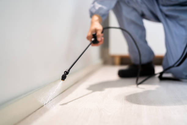 Licensed Termite Control service in Bertie County County, NC - Nex Pest Control