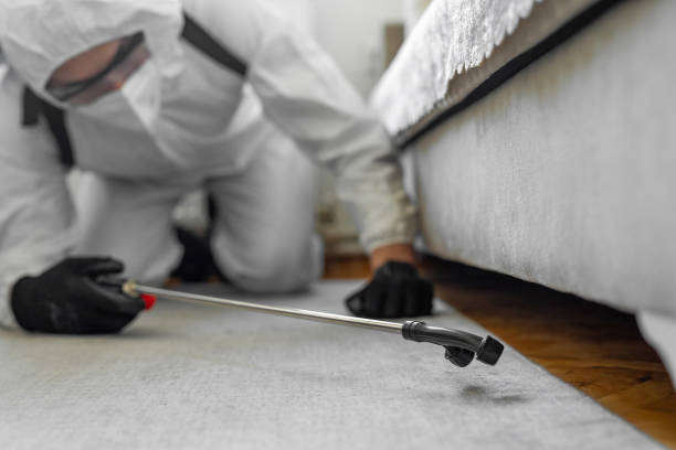 Professional Termite Control technician working in Bertie County County, NC